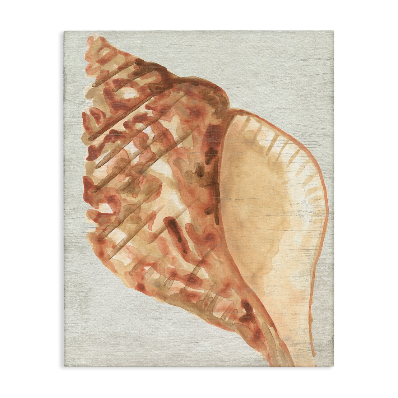 Stupell Industries Tan Conch Shell Canvas Wall Art Design by June Erica Vess